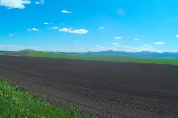 Black plowed land sown with cereals. Green hills and mountains in the distance