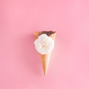 Boş dondurma külahı ve pembe arka planda gül çiçeği. Yaz yaratıcı yerleşim konsepti.