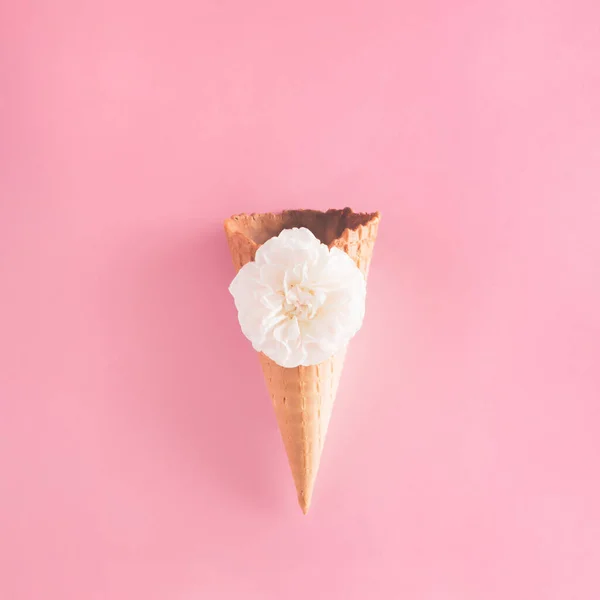 Empty Ice Cream Cone Rose Flower Pink Background Summer Creative — ストック写真