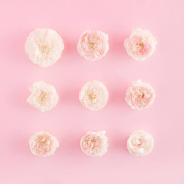 Pastel pembe arka planda pembe gül deseni. Romantik yaratıcı asgari konsept. Modaya uygun çiçek tarzı. Düz yatıyordu. Üst görünüm