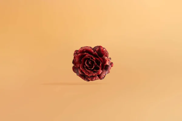 Red Rose Ocher Background Minimal Love Concept Creative Valentine Ideas — ストック写真