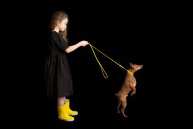 Köpekli küçük bir kız, siyah ve sarı elbiseli. Siyah arka plan. Stüdyo çekimi. Yavru hayvan konsepti. Mutlu çocukluk