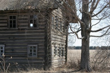Rusya 'nın terk edilmiş köşelerinde yüzlerce yıllık ahşap evler. Rusya 'da ahşap yapım gelenekleri.