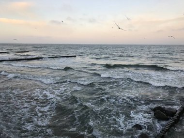 Baltık Denizi kıyısındaki ahşap bir dalgada dalgalar kırılıyor..