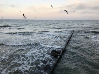 Baltık Denizi kıyısındaki ahşap bir dalgada dalgalar kırılıyor..