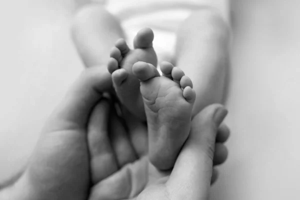 Fötter av en nyfödd i händerna på en far, förälder. Svart och vitt fotografi. Lyckligt familjebegrepp. — Stockfoto
