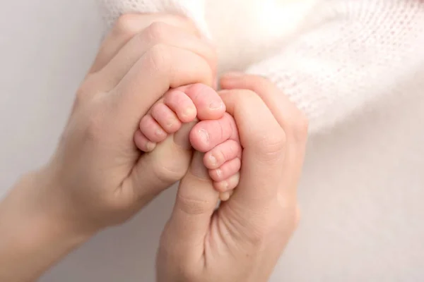 Føttene til den nyfødte i hendene på moren, forelder. Studio fotografering, hvit bakgrunn. Lykkelig familiebegrep. – stockfoto