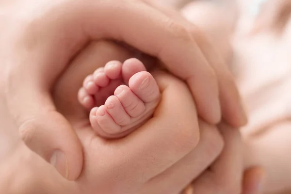 Los pies del recién nacido en las manos de la madre, el padre. Fotografía de estudio, fondo blanco. Concepto de familia feliz. — Foto de Stock