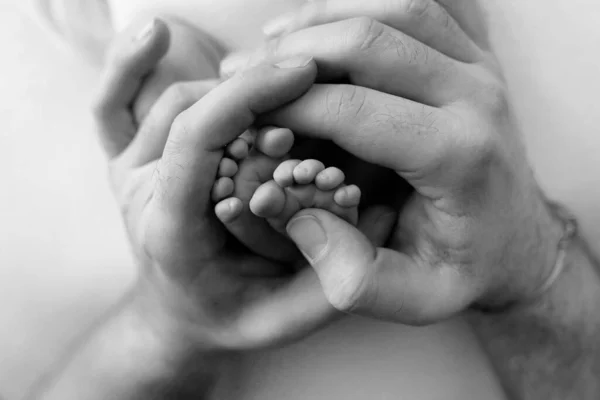 Voeten van een pasgeborene in de handen van een vader, ouder. Zwart-wit fotografie. Gelukkig familieconcept. — Stockfoto