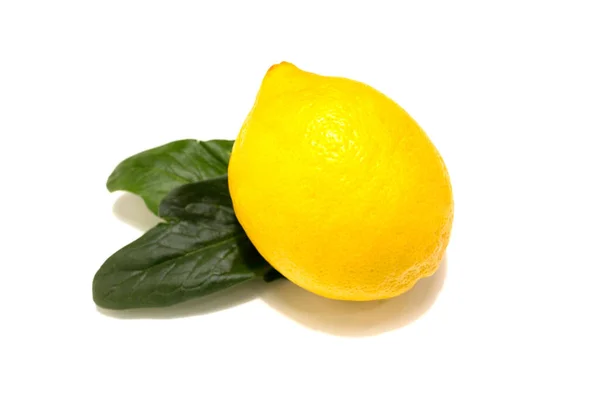 Свежие лимонные фрукты с зелеными листьями мяты. Изолированный на белом фоне. — стоковое фото