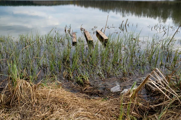 Vuilnis aan de oever van het meer. Plastic zakken en flessen vervuilen het milieu. Houten pallet in water. Het concept van bescherming en behoud van de omringende natuur. — Stockfoto
