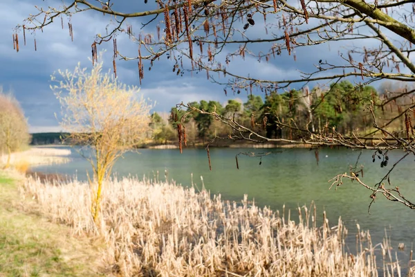 Los árboles de primavera se reflejan en el lago contra el cielo azul. El despertar de la naturaleza. — Foto de Stock