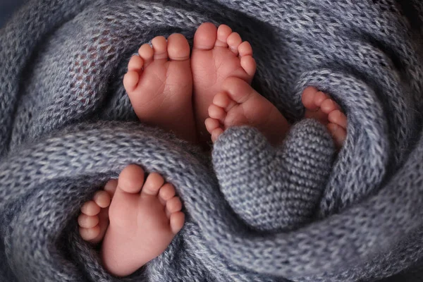 Feet of three newborn babies in a soft blanket. Heart in the legs of newborn triplets. Studio photography. — Stock Photo, Image