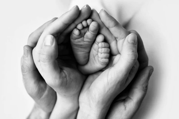 Gyereklábak a fehér ruhás anya és apa kezében. Anya, apa és újszülött gyerek. A boldog család koncepciója. Fekete-fehér. — Stock Fotó