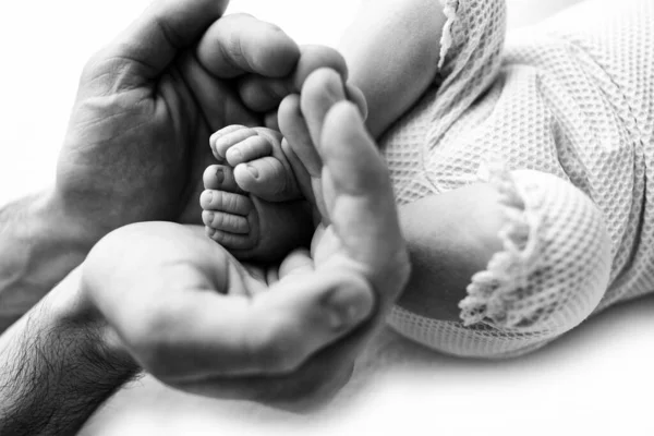 Pés de um recém-nascido nas mãos de um pai, pai. Fotografia de estúdio, preto e branco. Conceito de família feliz. — Fotografia de Stock