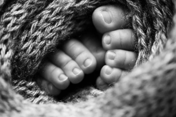 Fotografie nohou novorozence. Dětské nohy pokryté vlnou izolované pozadí. Malá noha novorozence v měkkém selektivním ohnisku. Černobílý obraz chodidel. — Stock fotografie