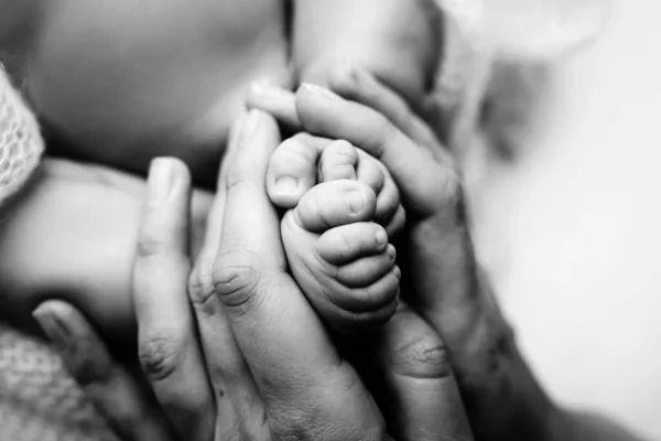 Los pies de los niños en las manos de la madre y el padre en blanco. Madre, padre e hijo recién nacido. Concepto de familia feliz. Blanco y negro. —  Fotos de Stock