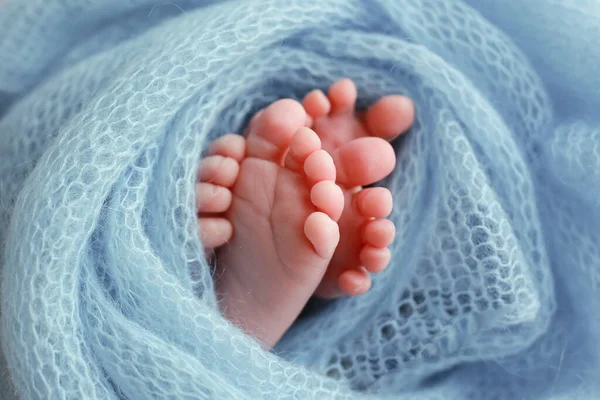 Dos lindos pequeños pies de bebé envueltos en una manta de punto azul-verde aqua —  Fotos de Stock