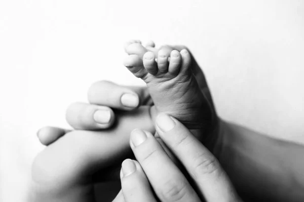 白の上に母親と父親の手の中に子供の足。お母さん、お父さん、新生児。幸せな家庭の人々の概念。黒と白. — ストック写真