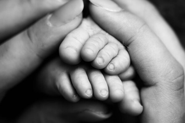 Childrens feet in hold hands of mother and father on white. Mother, father and newborn Child. Happy Family people concept. Black and white.