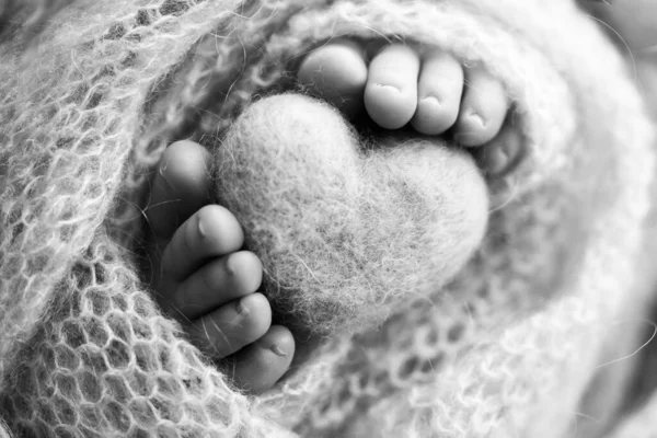 Los pies de un recién nacido con un corazón de madera, envuelto en una manta suave. Fotografía de estudio en blanco y negro. —  Fotos de Stock