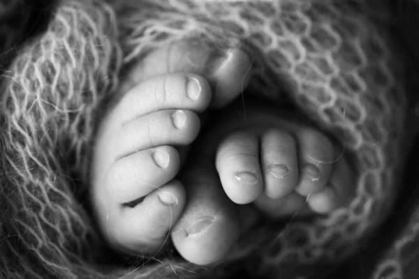 Foto der Beine eines Neugeborenen. Babyfüße mit Wolle isoliert Hintergrund bedeckt. Der winzige Fuß eines Neugeborenen in sanftem selektivem Fokus. Schwarz-Weiß-Bild der Fußsohlen. — Stockfoto