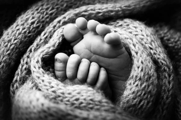 Foto de las piernas de un recién nacido. Pies de bebé cubiertos con lana aislada de fondo. El pequeño pie de un recién nacido en suave enfoque selectivo. Imagen en blanco y negro de las plantas de los pies. —  Fotos de Stock
