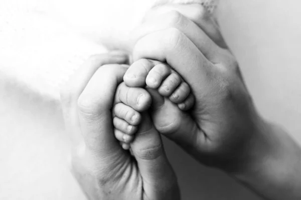 Los pies de los niños en las manos de la madre y el padre en blanco. Madre, padre e hijo recién nacido. Concepto de familia feliz. Blanco y negro. — Foto de Stock