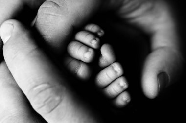 Çocukların ayakları beyazın üzerinde anne ve babanın ellerinde. Anne, baba ve yeni doğan çocuk. Mutlu Aile İnsanları konsepti. Siyah ve beyaz.