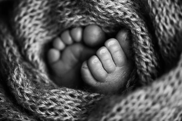 Zdjęcie nóg noworodka. Dziecięce nóżki pokryte wełną odizolowane tło. Maleńka stopa noworodka w miękkim, selektywnym skupieniu. Czarno-biały obraz podeszew stóp. — Zdjęcie stockowe