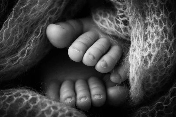 Zdjęcie nóg noworodka. Dziecięce nóżki pokryte wełną odizolowane tło. Maleńka stopa noworodka w miękkim, selektywnym skupieniu. Czarno-biały obraz podeszew stóp. — Zdjęcie stockowe