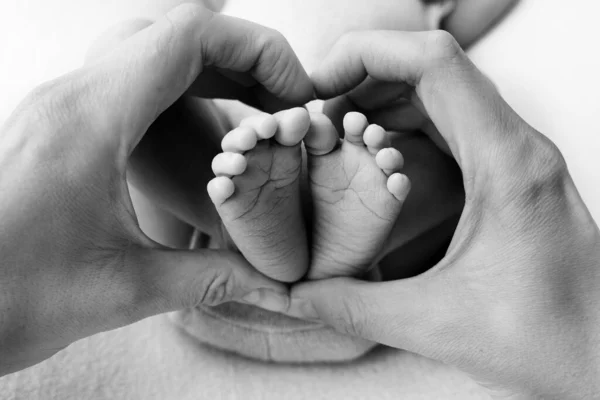 Fötter av en nyfödd i händerna på en far, förälder. Studiofotografering, svartvitt. Lyckligt familjebegrepp. — Stockfoto