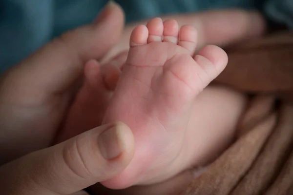 Los pies de los niños en las manos de la madre y el padre. Madre, padre e hijo. Concepto de familia feliz. — Foto de Stock