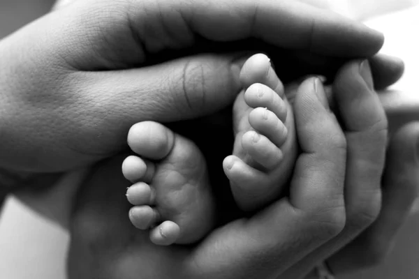 Los pies de un recién nacido en manos de un padre, padre. Fotografía de estudio, en blanco y negro. Concepto de familia feliz. —  Fotos de Stock