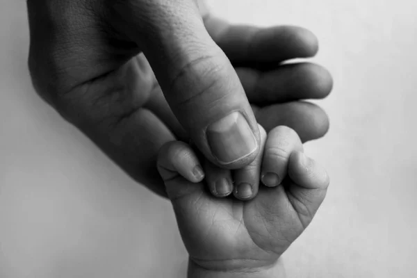 Novorozenec drží mámy, otcové prst. Ruce rodičů a dítěte zblízka. Dítě jí důvěřuje a pevně ji drží. Černobílá fotografie. — Stock fotografie