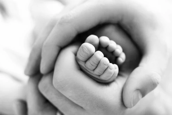 Fötter av en nyfödd i händerna på en far, förälder. Studiofotografering, svartvitt. Lyckligt familjebegrepp. — Stockfoto