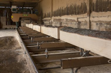 Doku. Ahşap atığı. Yığınla cips, ağaç kabuğu, parça ve talaş..