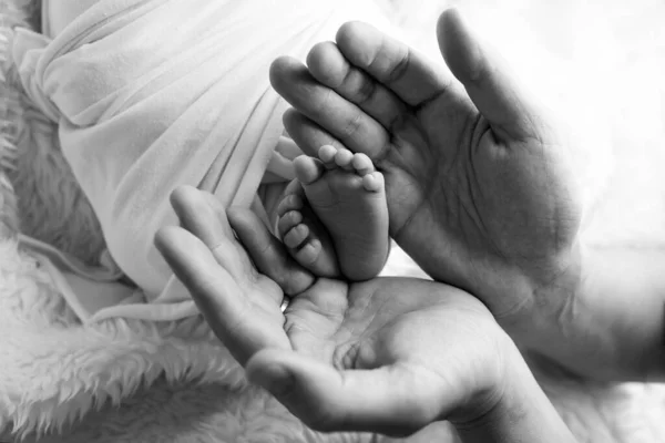 एक पिता, माता-पिता के हाथों में नवजात शिशु के पैर। स्टूडियो फोटोग्राफी, काले और सफेद। हैप्पी फैमिली कॉन्सेप्ट . — स्टॉक फ़ोटो, इमेज