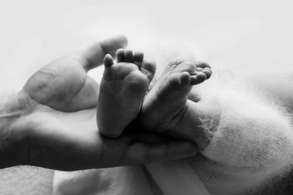 Ноги новонародженого в руках батька, батька. Студійна фотографія, чорно-біла. Щаслива сімейна концепція . — стокове фото