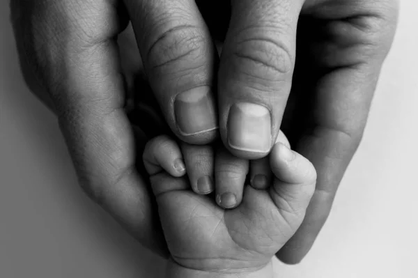 A newborn holds on to moms, dads finger. Hands of parents and baby close up. A child trusts and holds her tight. Black and white photo. — Stock Photo, Image