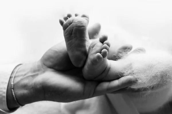 Πόδια νεογέννητου στα χέρια ενός πατέρα, γονέα. Φωτογραφία στούντιο, ασπρόμαυρη. Οικογενειακή έννοια. — Φωτογραφία Αρχείου