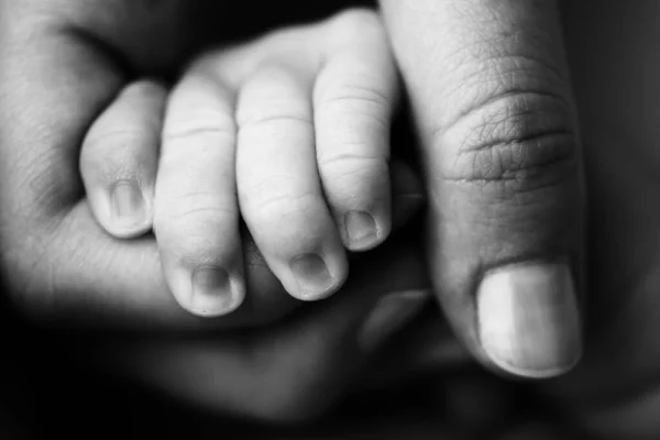 A newborn holds on to moms, dads finger. Hands of parents and baby close up. A child trusts and holds her tight. Black and white photo. — Stock Photo, Image