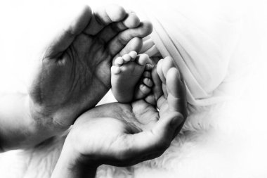 Yeni doğmuş bir bebeğin ayakları bir babanın, bir ebeveynin ellerinde. Stüdyo fotoğrafçılığı, siyah-beyaz. Mutlu aile kavramı.