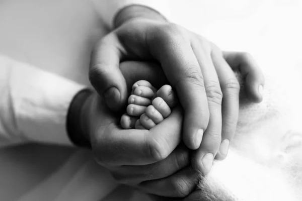 Pés de um recém-nascido nas mãos de um pai, pai. Fotografia de estúdio, preto e branco. Conceito de família feliz. — Fotografia de Stock