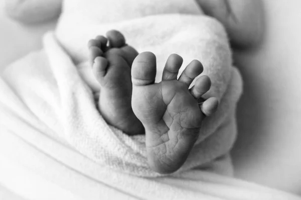 Tiny feet of a newborn on a white background. Protruding fingers. Health care, pediatrics. Black and white photography. — Stock Photo, Image