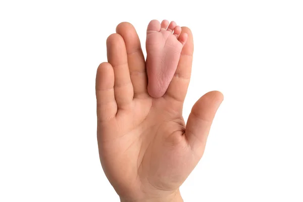 Baby feet in fathers hand. The tiny foot of a newborn baby between the fingers of a parents hand. Open palm and small toes.