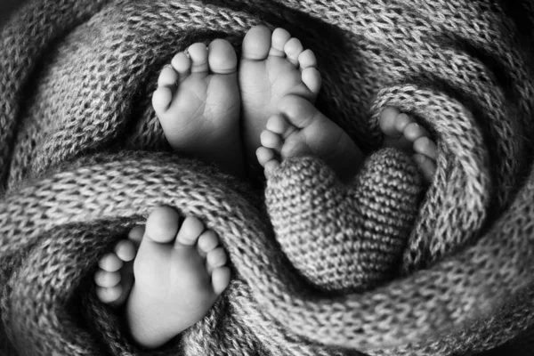 Τα πόδια τριών νεογέννητων μωρών σε κουβέρτα. Η καρδιά είναι στα πόδια νεογέννητων τριδύμων. Ασπρόμαυρη φωτογραφία στούντιο. — Φωτογραφία Αρχείου