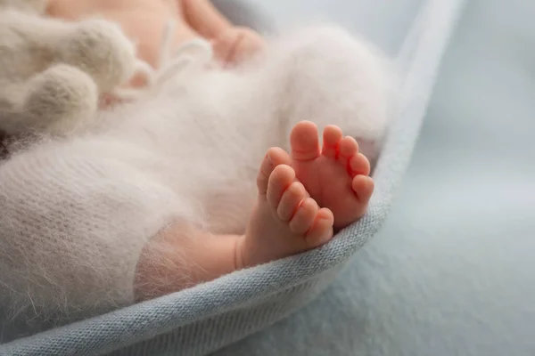 Photo of the legs of a newborn. Baby feet covered with wool isolated background. The tiny foot of a newborn in soft selective focus. Image of the soles of the feet. — Stock Photo, Image