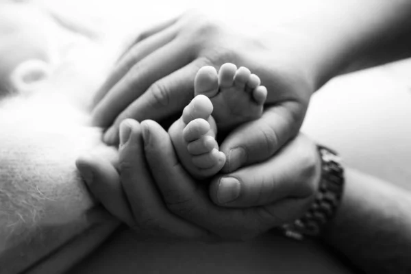 Manos de los padres. las piernas del recién nacido en manos de mamá y papá. piernas de bebé en sus manos. fotos en blanco y negro — Foto de Stock