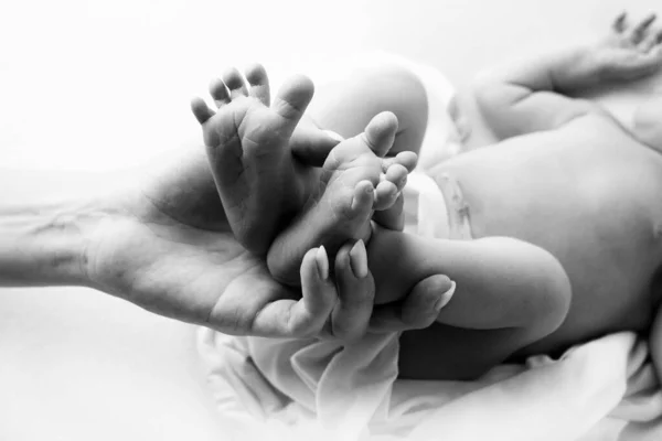 Ebeveynlerin elleri. Yeni doğan bebeğin bacakları anne ve babanın ellerinde. Ellerindeki bebek bacakları. siyah ve beyaz resimler — Stok fotoğraf